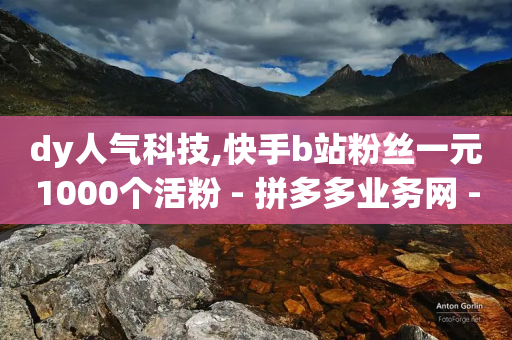 dy人气科技,快手b站粉丝一元1000个活粉 - 拼多多业务网 - 阿里巴巴批发网1688网官网-第1张图片-靖非智能科技传媒