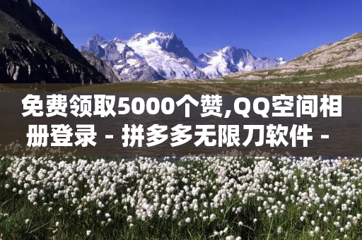 免费领取5000个赞,QQ空间相册登录 - 拼多多无限刀软件 - 拼多多助力在哪里打开的-第1张图片-靖非智能科技传媒