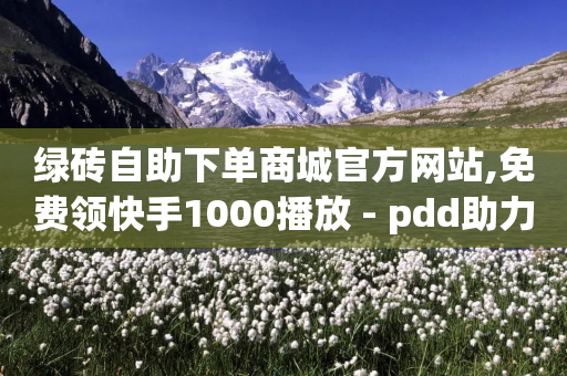 绿砖自助下单商城官方网站,免费领快手1000播放 - pdd助力平台 - 淘宝买助力拼多多划算吗-第1张图片-靖非智能科技传媒