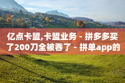 亿点卡盟,卡盟业务 - 拼多多买了200刀全被吞了 - 拼单app的目标市场-第1张图片-靖非智能科技传媒