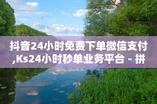 抖音24小时免费下单微信支付,Ks24小时秒单业务平台 - 拼多多自助下单全网最便宜 - 拼多多800元抽到锦鲤-第1张图片-靖非智能科技传媒