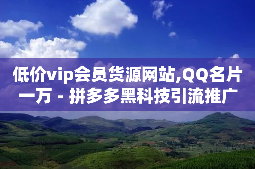 低价vip会员货源网站,QQ名片一万 - 拼多多黑科技引流推广神器 - 拼多多有pc端吗-第1张图片-靖非智能科技传媒