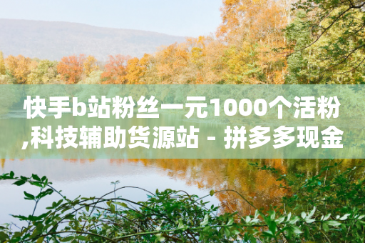 快手b站粉丝一元1000个活粉,科技辅助货源站 - 拼多多现金大转盘助力 - 扯拼多多助力