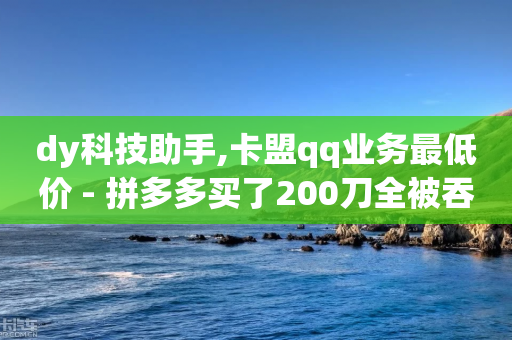 dy科技助手,卡盟qq业务最低价 - 拼多多买了200刀全被吞了 - 怎么玩拼多多的现金大转盘