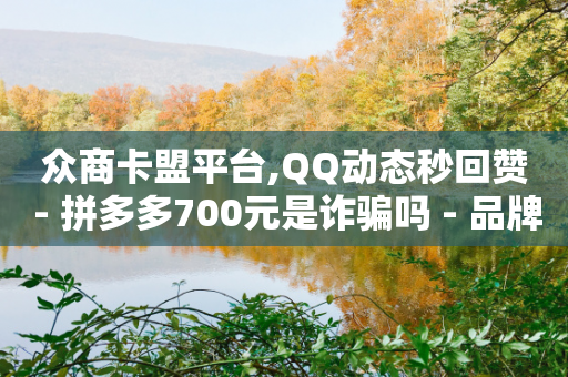 众商卡盟平台,QQ动态秒回赞 - 拼多多700元是诈骗吗 - 品牌授权一般交多少钱-第1张图片-靖非智能科技传媒