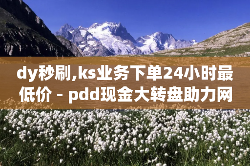 dy秒刷,ks业务下单24小时最低价 - pdd现金大转盘助力网站 - 无货源电商软件-第1张图片-靖非智能科技传媒