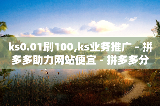 ks0.01刷100,ks业务推广 - 拼多多助力网站便宜 - 拼多多分享口令格式-第1张图片-靖非智能科技传媒