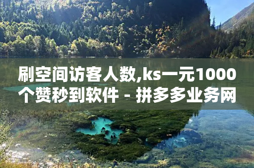 刷空间访客人数,ks一元1000个赞秒到软件 - 拼多多业务网 - 拼多多可以看帮谁助力了吗