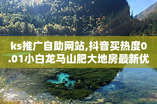 ks推广自助网站,抖音买热度0.01小白龙马山肥大地房最新优惠活动 - 自助业务商城 - 百度一下下载拼多多-第1张图片-靖非智能科技传媒