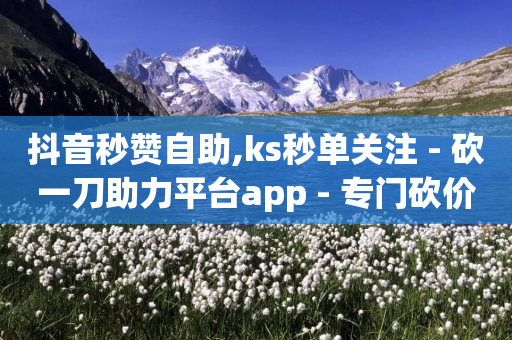 抖音秒赞自助,ks秒单关注 - 砍一刀助力平台app - 专门砍价一个软件叫什么