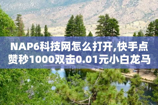 NAP6科技网怎么打开,快手点赞秒1000双击0.01元小白龙马山肥大地房产装修 - 快手点赞评论在哪里接单 - 拼多多商品免费拿-第1张图片-靖非智能科技传媒