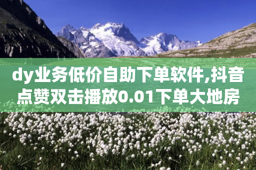 dy业务低价自助下单软件,抖音点赞双击播放0.01下单大地房产马山肥装修活动 - 免费涨1000粉丝网站下载 - 拼多多流量怎么做起来