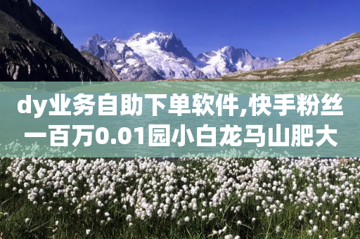 dy业务自助下单软件,快手粉丝一百万0.01园小白龙马山肥大地房产装修网站 - 快手赞1分1000 - 拼多多钱包预计24小时到账-第1张图片-靖非智能科技传媒