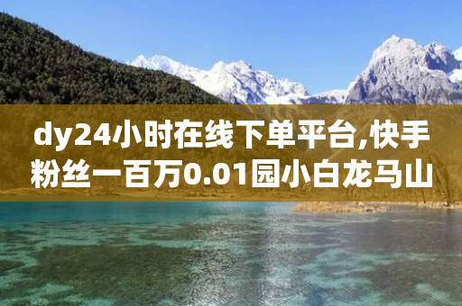 dy24小时在线下单平台,快手粉丝一百万0.01园小白龙马山肥大地房产装修网站 - ks软件 - 拼多多砍一刀最后一刀