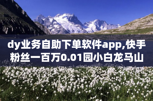 dy业务自助下单软件app,快手粉丝一百万0.01园小白龙马山肥大地房产装修网站 - 拼多多砍一刀助力平台网站 - 拼多多领700元完成图片