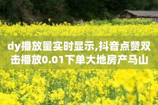 dy播放量实时显示,抖音点赞双击播放0.01下单大地房产马山肥装修活动 - 1元100赞自助下单网站 - 拼多多助力用什么软件-第1张图片-靖非智能科技传媒