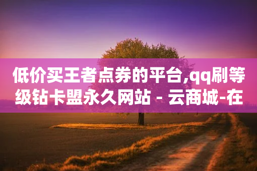 低价买王者点券的平台,qq刷等级钻卡盟永久网站 - 云商城-在线下单 - 拼多多上面怎么开店铺-第1张图片-靖非智能科技传媒