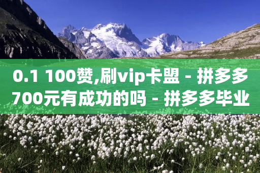 0.1 100赞,刷vip卡盟 - 拼多多700元有成功的吗 - 拼多多毕业季免费礼物入口-第1张图片-靖非智能科技传媒