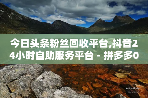 今日头条粉丝回收平台,抖音24小时自助服务平台 - 拼多多0.01积分后面是什么 - 手机拼多多秒杀脚本-第1张图片-靖非智能科技传媒