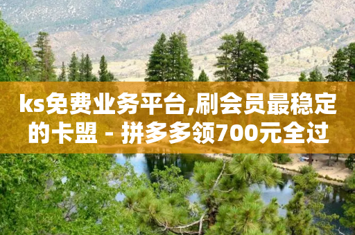 ks免费业务平台,刷会员最稳定的卡盟 - 拼多多领700元全过程 - 拼多多助力提现成功-第1张图片-靖非智能科技传媒