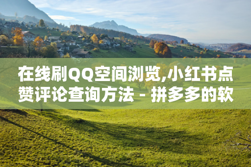 在线刷QQ空间浏览,小红书点赞评论查询方法 - 拼多多的软件 - 拼多多电商是什么意思-第1张图片-靖非智能科技传媒