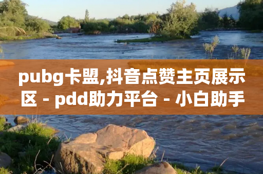 pubg卡盟,抖音点赞主页展示区 - pdd助力平台 - 小白助手拼多多-第1张图片-靖非智能科技传媒