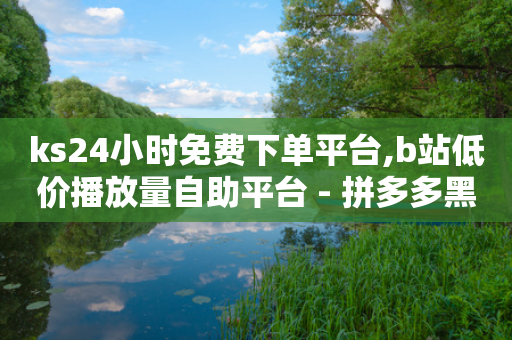 ks24小时免费下单平台,b站低价播放量自助平台 - 拼多多黑科技引流推广神器 - 拼多多新用户助力容易成功吗-第1张图片-靖非智能科技传媒