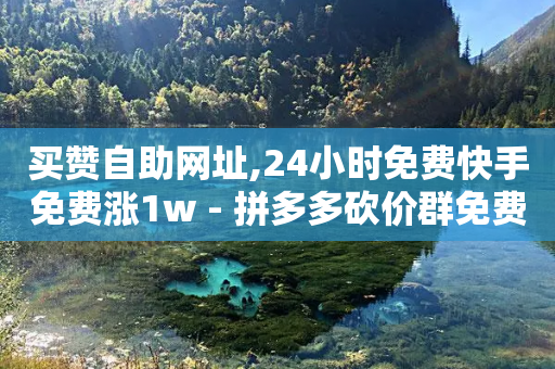 买赞自助网址,24小时免费快手免费涨1w - 拼多多砍价群免费进 - 助理网页-第1张图片-靖非智能科技传媒