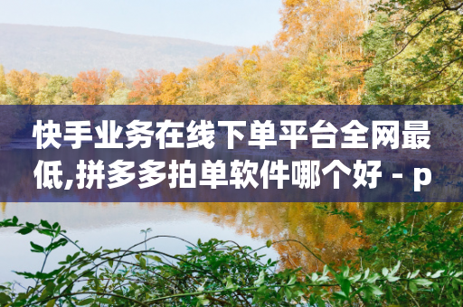 快手业务在线下单平台全网最低,拼多多拍单软件哪个好 - pdd刷助力软件 - 拼多多砍实物吞刀-第1张图片-靖非智能科技传媒