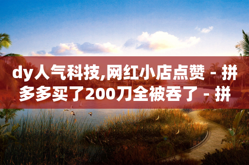 dy人气科技,网红小店点赞 - 拼多多买了200刀全被吞了 - 拼多多锦鲤附体后面还有什么