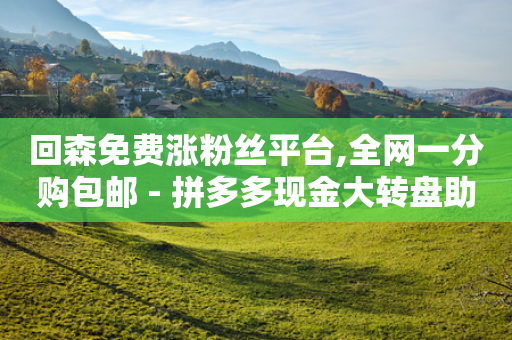 回森免费涨粉丝平台,全网一分购包邮 - 拼多多现金大转盘助力50元 - 拼多多助力刷人在线-第1张图片-靖非智能科技传媒