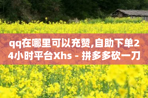 qq在哪里可以充赞,自助下单24小时平台Xhs - 拼多多砍一刀助力平台 - 拼多多扫码助力会泄露信息-第1张图片-靖非智能科技传媒