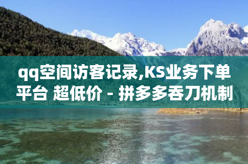 qq空间访客记录,KS业务下单平台 超低价 - 拼多多吞刀机制 - 电脑版拼多多商家怎么下-第1张图片-靖非智能科技传媒