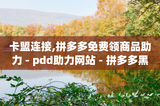 卡盟连接,拼多多免费领商品助力 - pdd助力网站 - 拼多多黑号-第1张图片-靖非智能科技传媒