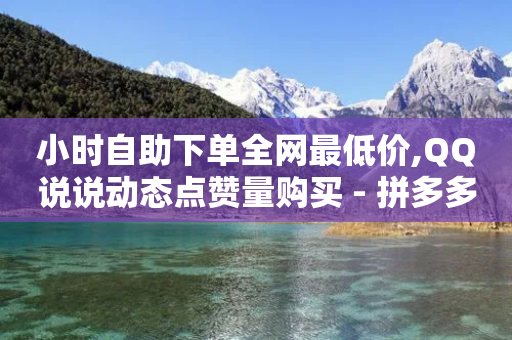 小时自助下单全网最低价,QQ说说动态点赞量购买 - 拼多多免费助力工具1.0.5 免费版 - 拼多多助力怎么帮忙助力-第1张图片-靖非智能科技传媒