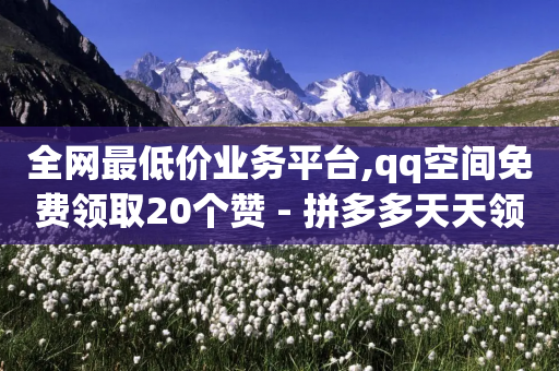 全网最低价业务平台,qq空间免费领取20个赞 - 拼多多天天领现金助力 - 购买拼多多助力-第1张图片-靖非智能科技传媒