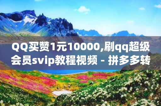 QQ买赞1元10000,刷qq超级会员svip教程视频 - 拼多多转盘最后0.01解决办法 - 拼多多助力泄露信息解决办法-第1张图片-靖非智能科技传媒