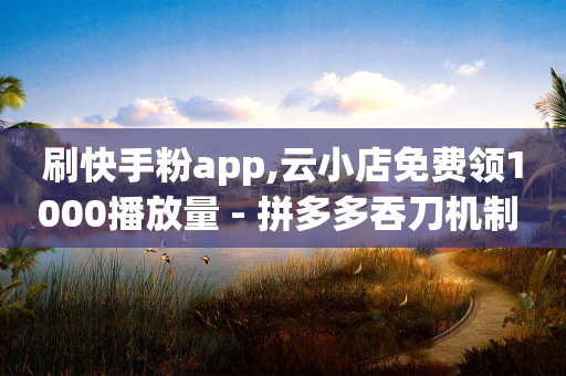 刷快手粉app,云小店免费领1000播放量 - 拼多多吞刀机制 - 呱呱呱视频在线观看-第1张图片-靖非智能科技传媒