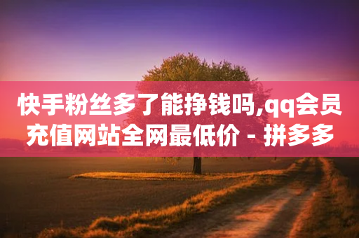 快手粉丝多了能挣钱吗,qq会员充值网站全网最低价 - 拼多多转盘刷次数网站免费 - 24小时砍价助力网一元-第1张图片-靖非智能科技传媒