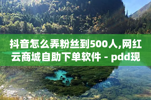 抖音怎么弄粉丝到500人,网红云商城自助下单软件 - pdd现金大转盘助力网站 - 砍价拼多多赚钱app-第1张图片-靖非智能科技传媒