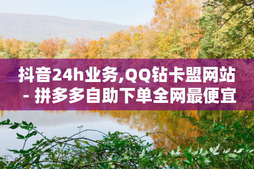 抖音24h业务,QQ钻卡盟网站 - 拼多多自助下单全网最便宜 - 拼多多在别人评论下留言-第1张图片-靖非智能科技传媒