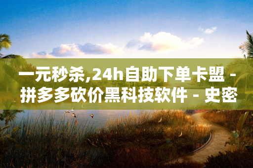 一元秒杀,24h自助下单卡盟 - 拼多多砍价黑科技软件 - 史密斯威森10在美国卖多少钱-第1张图片-靖非智能科技传媒