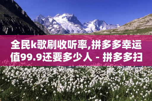 全民k歌刷收听率,拼多多幸运值99.9还要多少人 - 拼多多扫码助力软件 - 拼多多转盘700元差50个积分-第1张图片-靖非智能科技传媒