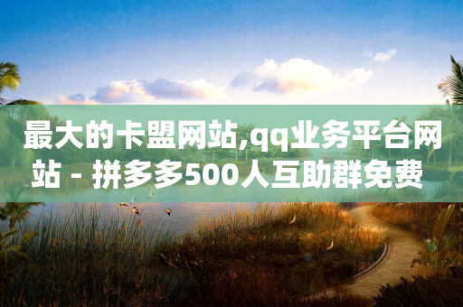 最大的卡盟网站,qq业务平台网站 - 拼多多500人互助群免费 - 拼多多差个兑换卡是真的吗-第1张图片-靖非智能科技传媒