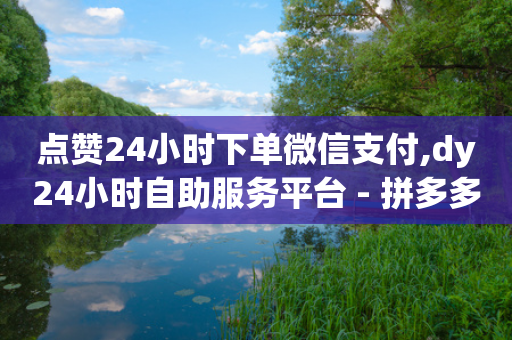 点赞24小时下单微信支付,dy24小时自助服务平台 - 拼多多助力免费 - 微信拼多多砍价群-第1张图片-靖非智能科技传媒