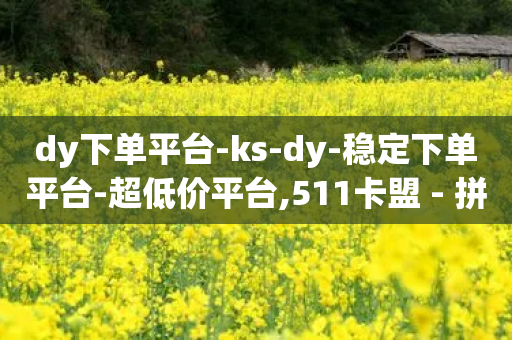 dy下单平台-ks-dy-稳定下单平台-超低价平台,511卡盟 - 拼多多最后0.01助力不了 - 拼多多助力百人团微信贴吧-第1张图片-靖非智能科技传媒