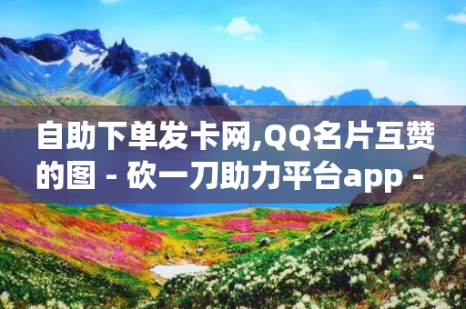 自助下单发卡网,QQ名片互赞的图 - 砍一刀助力平台app - 云端商城登录入口