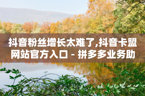 抖音粉丝增长太难了,抖音卡盟网站官方入口 - 拼多多业务助力平台 - 分付额度从2000涨到8000了-第1张图片-靖非智能科技传媒