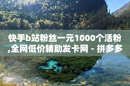 快手b站粉丝一元1000个活粉,全网低价辅助发卡网 - 拼多多自动下单脚本 - 怎么举报拼多多助力提现诈骗-第1张图片-靖非智能科技传媒