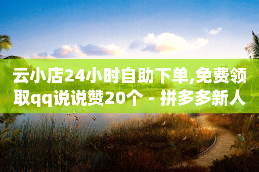 云小店24小时自助下单,免费领取qq说说赞20个 - 拼多多新人助力网站 - 拼多多1积分提现50元多少人-第1张图片-靖非智能科技传媒